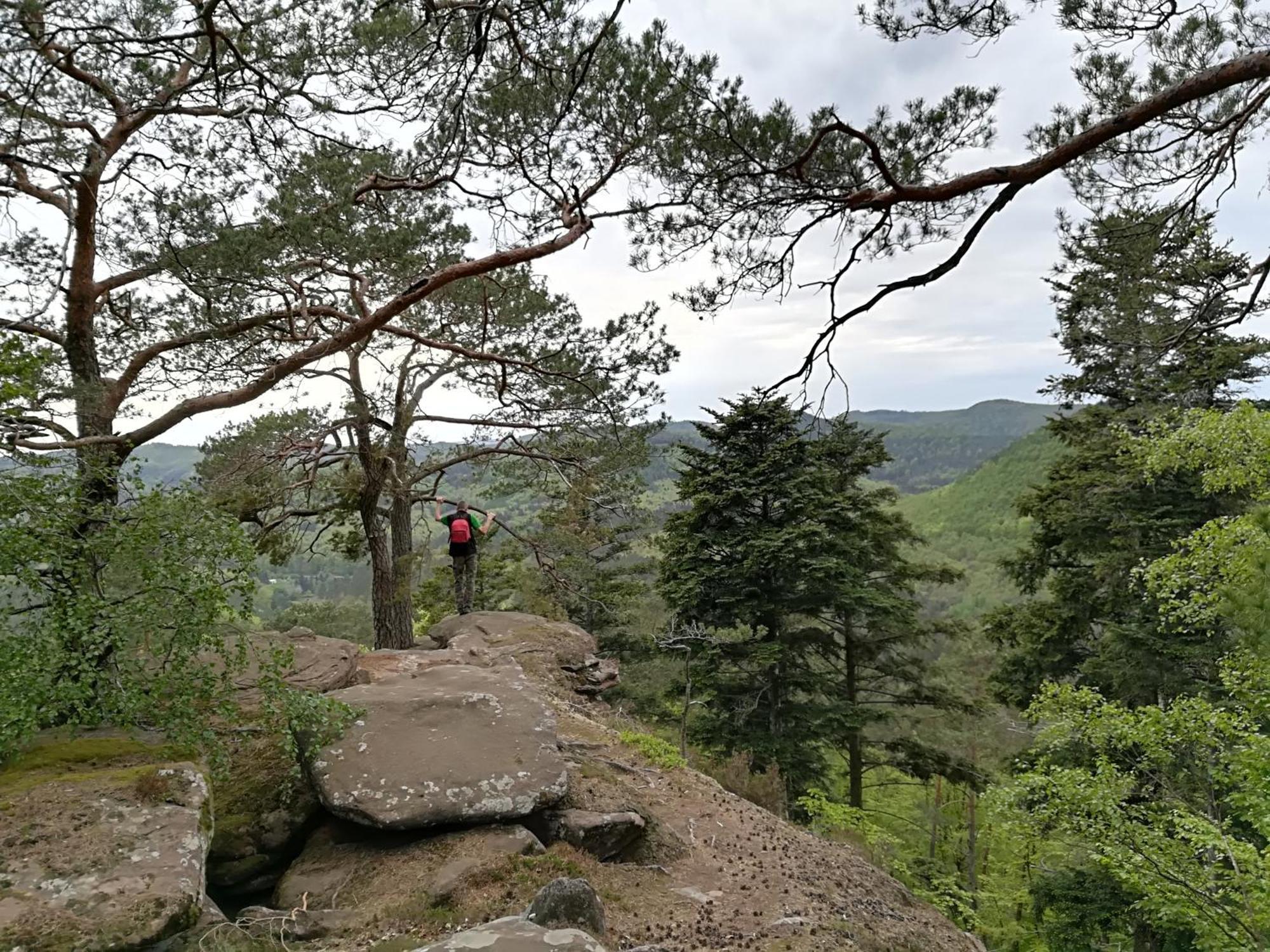 L'Ours Vert Baerenthal Екстер'єр фото